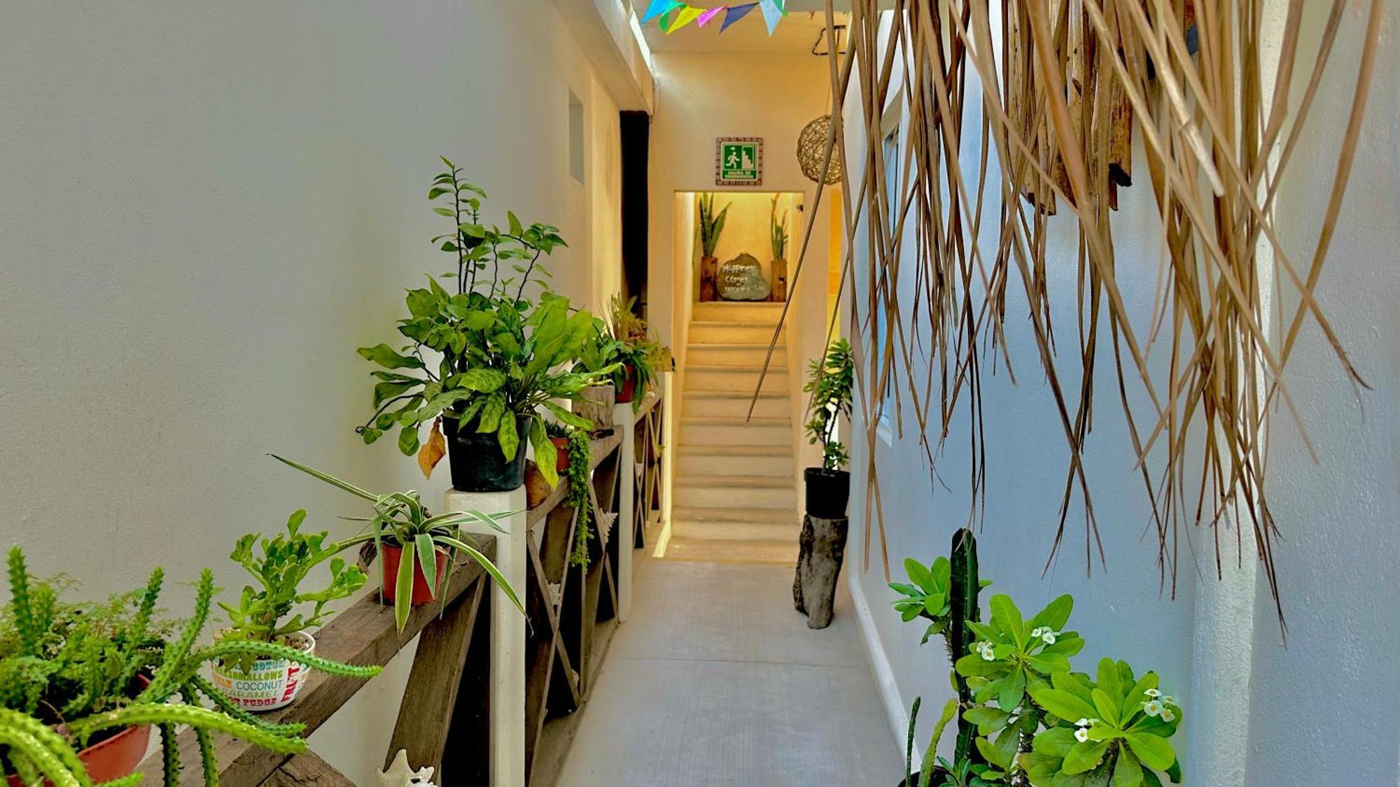 Hotel Jaiba Mahahual - Adults Only מראה חיצוני תמונה